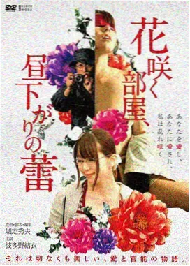 芙蓉镇 经典电影海报
